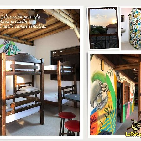 La Tortuga Hostel タガンガ エクステリア 写真