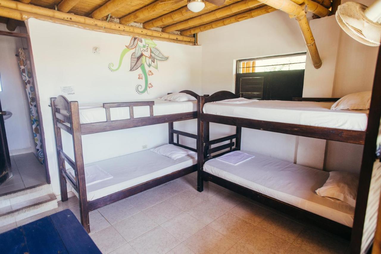 La Tortuga Hostel タガンガ エクステリア 写真
