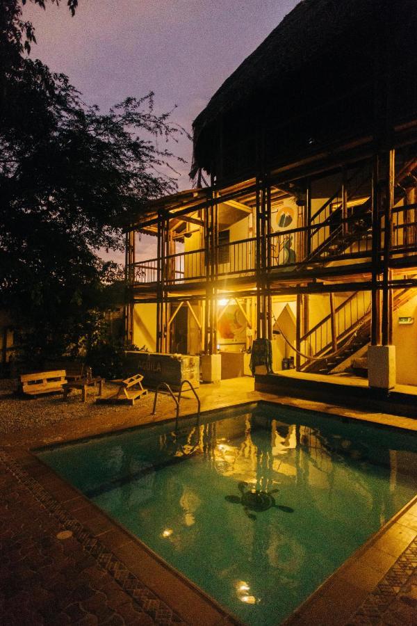 La Tortuga Hostel タガンガ エクステリア 写真