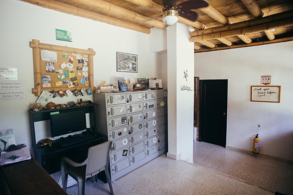La Tortuga Hostel タガンガ エクステリア 写真