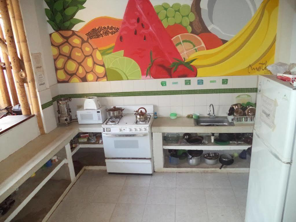 La Tortuga Hostel タガンガ エクステリア 写真